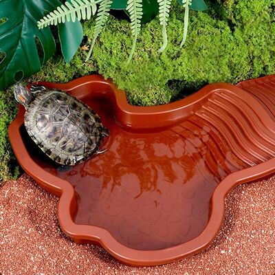 OEM Mangiatoia E Abbeveratoio Per Tartarughe Con Rampa E Scaletta, Perfetto Per Rettili In Terrario - Altro OEM Mangiatoia E Abbeveratoio Per Tartarughe Con Rampa E Scaletta, Perfetto Per Rettili In Terrario - Altro