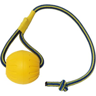 OEM Palla Per Cani Con Corda, Palla Da Addestramento Per Cani In Schiuma, Palla Galleggiante Per Cani, Piccolo Giocattolo Da Rimorchiatore Per Cani Di Taglia Grande (palla Grande) OEM Palla Per Cani Con Corda, Palla Da Addestramento Per Cani In Schiuma, Palla Galleggiante Per Cani, Piccolo Giocattolo Da Rimorchiatore Per Cani Di Taglia Grande (palla Grande)