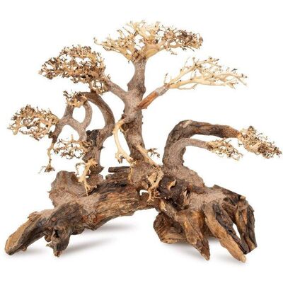 HOBBY Decorazione Acquario Artpol Tonące Drzewo Bonsai 80x45 Cm Resistente Acqua HOBBY Decorazione Acquario Artpol Tonące Drzewo Bonsai 80x45 Cm Resistente Acqua