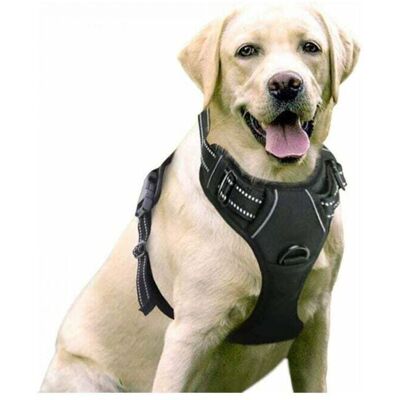 OEM Pettorina Anti-trazione Zvd, Specifica Per Cani, Regolabile, Riflettente, Facile Da Indossare Con Cinturino Di Aggancio Anteriore, Adatta A Cani Di Taglia Media E Grande, Nera - Crezuo OEM Pettorina Anti-trazione Zvd, Specifica Per Cani, Regolabile, Riflettente, Facile Da Indossare Con Cinturino Di Aggancio Anteriore, Adatta A Cani Di Taglia Media E Grande, Nera - Crezuo