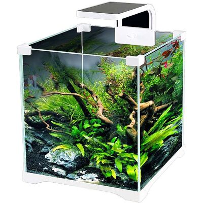 OEM Sunsun O-led Aqua - Set Acquario Da 15 Litri OEM Sunsun O-led Aqua - Set Acquario Da 15 Litri