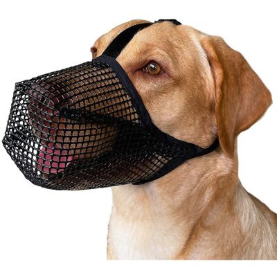 FOCTRO Museruola Per Cani, Traspirante E Regolabile, A Prova Di Morso (nera - L) FOCTRO Museruola Per Cani, Traspirante E Regolabile, A Prova Di Morso (nera - L)