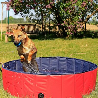 COOCHEER Piscina Pieghevole In Pvc Per Cani, Vasca Per Cani, Vasca Per Cani, Piscina Per Animali Domestici, (s) 80 Cm Di Diametro, 20 Cm Di Altezza, Blu/rosso COOCHEER Piscina Pieghevole In Pvc Per Cani, Vasca Per Cani, Vasca Per Cani, Piscina Per Animali Domestici, (s) 80 Cm Di Diametro, 20 Cm Di Altezza, Blu/rosso