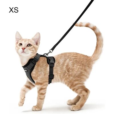 FORTUNEVILLE Imbracatura Per Gatto Con Guinzaglio Nero Imbracatura Morbida Per Gatto Imbracatura Per Torace Per Gatto Attrezzatura Per Gatto Anti-fuga Regolabile Gilet Per Gatto Xs FORTUNEVILLE Imbracatura Per Gatto Con Guinzaglio Nero Imbracatura Morbida Per Gatto Imbracatura Per Torace Per Gatto Attrezzatura Per Gatto Anti-fuga Regolabile Gilet Per Gatto Xs