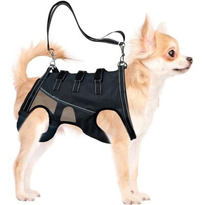 OEM Imbracatura Di Sollevamento Per Cani Disabili OEM Imbracatura Di Sollevamento Per Cani Disabili