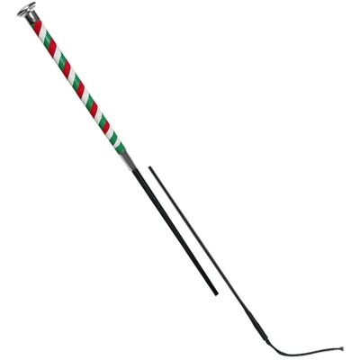 SARTORE Frustino Fleck Da Dressage Con Manico Italia E Bottone In Metallo Da 120 Cm SARTORE Frustino Fleck Da Dressage Con Manico Italia E Bottone In Metallo Da 120 Cm