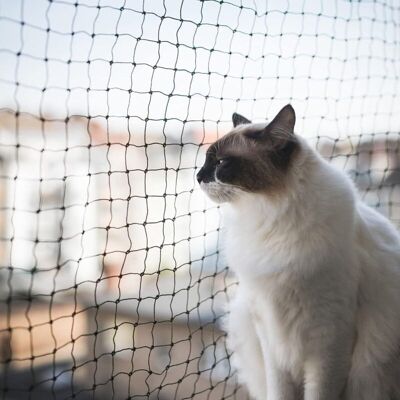 OEM Rete Di Sicurezza Per Gatti, 8x3 M, Rinforzata, Resistente Alle Intemperie, Per Proteggere Balconi, Finestre E Terrazze. OEM Rete Di Sicurezza Per Gatti, 8x3 M, Rinforzata, Resistente Alle Intemperie, Per Proteggere Balconi, Finestre E Terrazze.