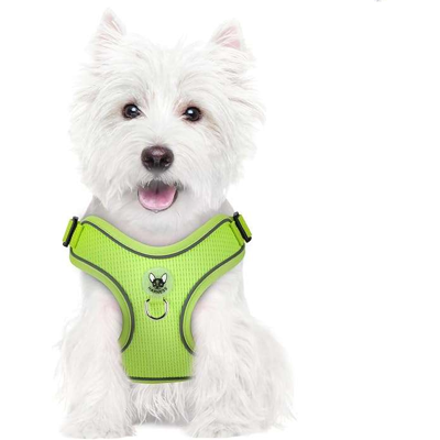 OEM Pettorina Per Cani Con Guinzaglio, Riflettente, Regolabile, Morbida, Taglia M, Verde OEM Pettorina Per Cani Con Guinzaglio, Riflettente, Regolabile, Morbida, Taglia M, Verde