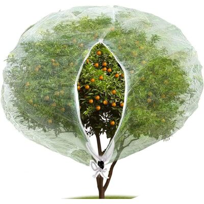 XISRENS (180 X 180 Cm) Rete Anti-insetti E Anti-uccelli Con Cerniera, Rete Anti-insetti Da Giardino Per Proteggere Piante, Frutti E Fiori Dagli Insetti Che Li Mangiano XISRENS (180 X 180 Cm) Rete Anti-insetti E Anti-uccelli Con Cerniera, Rete Anti-insetti Da Giardino Per Proteggere Piante, Frutti E Fiori Dagli Insetti Che Li Mangiano