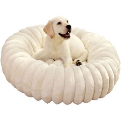 OEM Cuccia Rotonda In Morbido Tessuto Bianco, Diametro 50 Cm, Per Gatti E Cani Cuccia Extra-large Per Gatti Calda Cuccia Invernale Per Cani. OEM Cuccia Rotonda In Morbido Tessuto Bianco, Diametro 50 Cm, Per Gatti E Cani Cuccia Extra-large Per Gatti Calda Cuccia Invernale Per Cani.