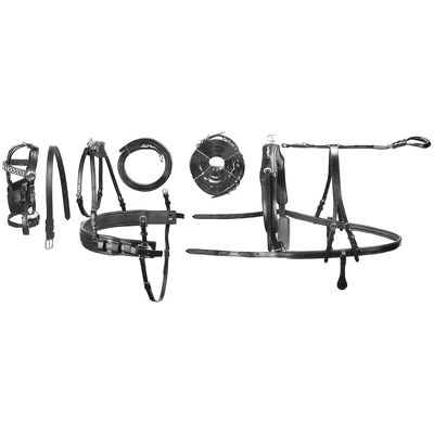 JM Full, Marrone: Finimento Completo Da Pariglia Luxury In Cuoio Con Fibbiera Inox Per Cavalli Pesanti JM Full, Marrone: Finimento Completo Da Pariglia Luxury In Cuoio Con Fibbiera Inox Per Cavalli Pesanti