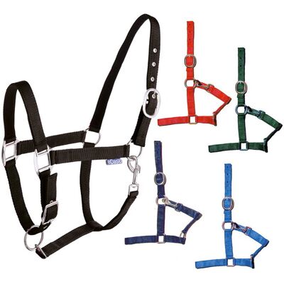 TATTINI Cob, Verde: Capezza Per Cavalli In Nylon A Doppia Regolazione TATTINI Cob, Verde: Capezza Per Cavalli In Nylon A Doppia Regolazione