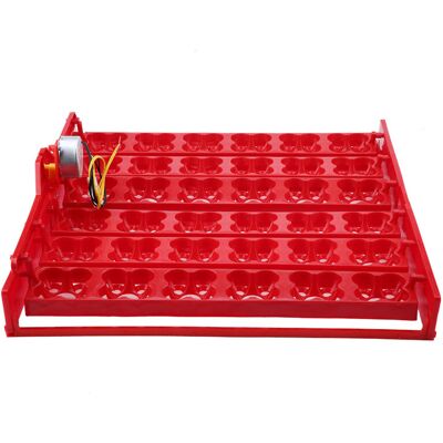OEM Incubatrice Automatica Per 36 Uova/144 Uova Di Uccelli Con Vassoio Rotante (motore 110v). OEM Incubatrice Automatica Per 36 Uova/144 Uova Di Uccelli Con Vassoio Rotante (motore 110v).
