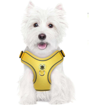 OEM Pettorina Per Cani Con Guinzaglio, Riflettente, Regolabile, Morbida, Taglia M, Gialla OEM Pettorina Per Cani Con Guinzaglio, Riflettente, Regolabile, Morbida, Taglia M, Gialla