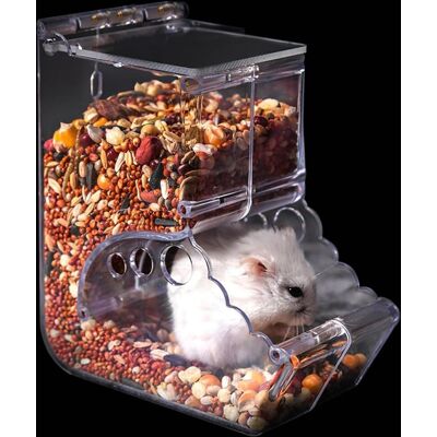Neptune Distributore Di Cibo Per Criceti E Piccoli Animali, Distributore Di Cibo Per Porcellini D'India, Alimentatore Automatico, Adatto Per Piccoli Animali Come Criceti, Ricci, Scoiattoli (400 Ml) Neptune Distributore Di Cibo Per Criceti E Piccoli Animali, Distributore Di Cibo Per Porcellini D'India, Alimentatore Automatico, Adatto Per Piccoli Animali Come Criceti, Ricci, Scoiattoli (400 Ml)