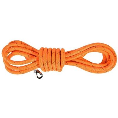 Guinzaglio per Cani Bobby - Arancione - 3 m - Guinzaglio per cani Guinzaglio per Cani Bobby - Arancione - 3 m - Guinzaglio per cani