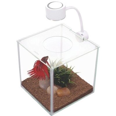 MARINA Betta Kit Cubus 3.4 L - MARINA Betta Kit Cubus 3.4 L -