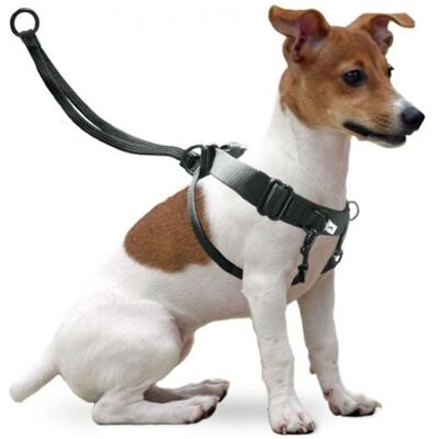 FLAMINGO Imbracatura Da Allenamento Easy Walker M Offerta Esclusiva FLAMINGO Imbracatura Da Allenamento Easy Walker M Offerta Esclusiva