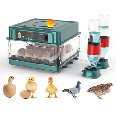OEM Incubatrice Automatica Per 12-38 Uova, Macchina Digitale Per La Schiusa Di Pollame Con Rotazione Automatica Delle Uova, Controllo Della Temperatura E Dell'umidità, Illuminazione A Led Efficiente Per P OEM Incubatrice Automatica Per 12-38 Uova, Macchina Digitale Per La Schiusa Di Pollame Con Rotazione Automatica Delle Uova, Controllo Della Temperatura E Dell'umidità, Illuminazione A Led Efficiente Per P