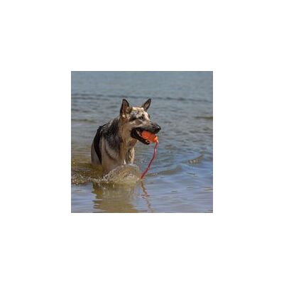 OEM Giocattolo Galleggiante Per Recuperare L'Acqua, Giocare, Fare Esercizio E Altro Ancora - Giocattolo Per Cani In Gomma Naturale Con Interno In Schiuma E Corda Per Lanci Più Lunghi - Arancione, Per Cani OEM Giocattolo Galleggiante Per Recuperare L'Acqua, Giocare, Fare Esercizio E Altro Ancora - Giocattolo Per Cani In Gomma Naturale Con Interno In Schiuma E Corda Per Lanci Più Lunghi - Arancione, Per Cani
