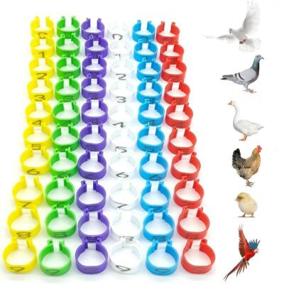 OEM 60 Anelli Di Identificazione Per Polli, Anelli Di Identificazione Per Uccelli, Anelli In Plastica Per Zampe Di Pappagallo, Diametro 16 Mm, Numerati, Per Marcare Gli Anelli Per Pollame OEM 60 Anelli Di Identificazione Per Polli, Anelli Di Identificazione Per Uccelli, Anelli In Plastica Per Zampe Di Pappagallo, Diametro 16 Mm, Numerati, Per Marcare Gli Anelli Per Pollame