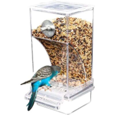 OEM Mangiatoia Automatica Per Uccelli, Mangiatoia Per Uccelli In Plastica Acrilica Di Grande Capacità, Abbeveratoio Automatico Per Pappagalli, Accessori Per L'Alimentazione In Gabbia Per Uccelli OEM Mangiatoia Automatica Per Uccelli, Mangiatoia Per Uccelli In Plastica Acrilica Di Grande Capacità, Abbeveratoio Automatico Per Pappagalli, Accessori Per L'Alimentazione In Gabbia Per Uccelli