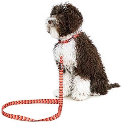 OEM Guinzaglio Fantasia Serpente E Mio Dog Snake Rosso - 2x120cm OEM Guinzaglio Fantasia Serpente E Mio Dog Snake Rosso - 2x120cm