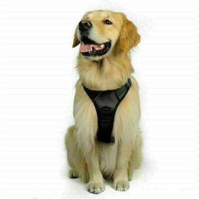 OEM L'Imbracatura Regolabile E Riflettente Per Cani È Facile Da Indossare, Con Una Tracolla Anteriore Adatta A Cani Di Taglia Media, Grande E Nera (taglia L) OEM L'Imbracatura Regolabile E Riflettente Per Cani È Facile Da Indossare, Con Una Tracolla Anteriore Adatta A Cani Di Taglia Media, Grande E Nera (taglia L)