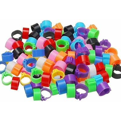 OEM 100 Anelli Per Zampe Di Uccelli, Anelli Di Identificazione In Plastica Per Piccioni, Anelli Per Zampe Di Uccelli Da 8 Mm Per Marcatura, Fattorie, Allevamento, Quaglie, Pappagalli E Pulcini Di Pollame OEM 100 Anelli Per Zampe Di Uccelli, Anelli Di Identificazione In Plastica Per Piccioni, Anelli Per Zampe Di Uccelli Da 8 Mm Per Marcatura, Fattorie, Allevamento, Quaglie, Pappagalli E Pulcini Di Pollame