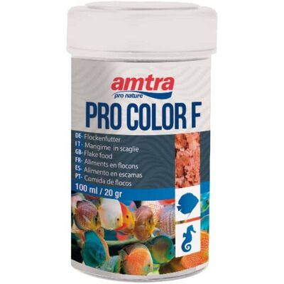 AMTRA Set 6 Pezzi Pro Color Flake 250 Ml: Set 6 Pezzi Pro Color Flake AMTRA Set 6 Pezzi Pro Color Flake 250 Ml: Set 6 Pezzi Pro Color Flake