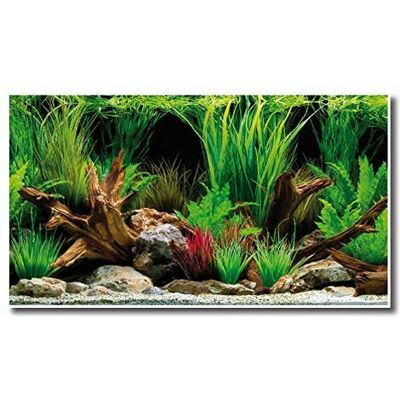 Sfondo doppio Wonder di Amtra - 30x60 cm Sfondo doppio Wonder di Amtra - 30x60 cm