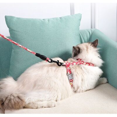 OEM Pettorina E Guinzaglio Regolabili Per Gattini: Corda Resistente Di Qualità Nautica, Misura Regolabile, Ideale Per Passeggiate All'aperto. OEM Pettorina E Guinzaglio Regolabili Per Gattini: Corda Resistente Di Qualità Nautica, Misura Regolabile, Ideale Per Passeggiate All'aperto.