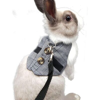 Zone Pettorina Regolabile Per Costume Da Coniglio, Set Di Imbracatura E Guinzaglio Per Piccoli Animali, Conigli, Criceti, Gatti - Grigio M Zone Pettorina Regolabile Per Costume Da Coniglio, Set Di Imbracatura E Guinzaglio Per Piccoli Animali, Conigli, Criceti, Gatti - Grigio M