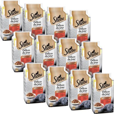 SHEBA Piccola Freschezza Carne per Gatti - Confezione da 12 - Cibo per animali SHEBA Piccola Freschezza Carne per Gatti - Confezione da 12 - Cibo per animali