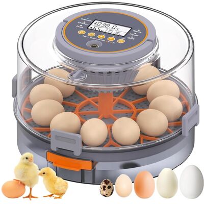 OEM Incubatrici Per Uova Da Cova, Incubatrice Per 12 Galline Con Rotazione Automatica Delle Uova E Controllo Dell'umidità, Accessori Per Pulcini Con Candela Per Uova, Incubatrice Per Galline OEM Incubatrici Per Uova Da Cova, Incubatrice Per 12 Galline Con Rotazione Automatica Delle Uova E Controllo Dell'umidità, Accessori Per Pulcini Con Candela Per Uova, Incubatrice Per Galline