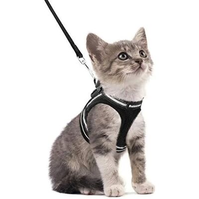 FORTUNEVILLE Imbracatura Per Gatto Con Guinzaglio, Imbracatura Traspirante Per Gattino Con Strisce Riflettenti, Gilet Nero Regolabile Facile Da Indossare FORTUNEVILLE Imbracatura Per Gatto Con Guinzaglio, Imbracatura Traspirante Per Gattino Con Strisce Riflettenti, Gilet Nero Regolabile Facile Da Indossare