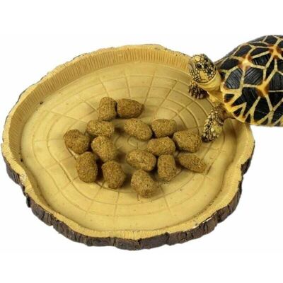 FOCTRO Ciotola Piccola Per Rettili: Mangiatoia, Abbeveratoio E Ciotola Per Rettili, Gechi, Tartarughe E Serpenti. Accessorio Per Terrario (borchia). FOCTRO Ciotola Piccola Per Rettili: Mangiatoia, Abbeveratoio E Ciotola Per Rettili, Gechi, Tartarughe E Serpenti. Accessorio Per Terrario (borchia).