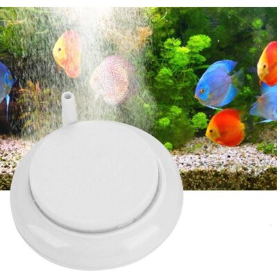 OEM Nanopietra Per Acquario, Disco Di Pietra Resistente Per Bolle D'Aria, Diffusore Rotondo Su Scala Nano, Aeratore Per Serbatoi Di Ossigeno Per Acquari, Laghetti E Sistemi Idroponici - Crezuo OEM Nanopietra Per Acquario, Disco Di Pietra Resistente Per Bolle D'Aria, Diffusore Rotondo Su Scala Nano, Aeratore Per Serbatoi Di Ossigeno Per Acquari, Laghetti E Sistemi Idroponici - Crezuo