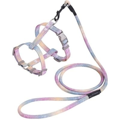ARNAULT Set Di Pettorina E Guinzaglio Per Gatti – Pettorina Arcobaleno Per Gattini, Antifuga, Cinturino Regolabile Per Passeggiate All'aperto ARNAULT Set Di Pettorina E Guinzaglio Per Gatti – Pettorina Arcobaleno Per Gattini, Antifuga, Cinturino Regolabile Per Passeggiate All'aperto