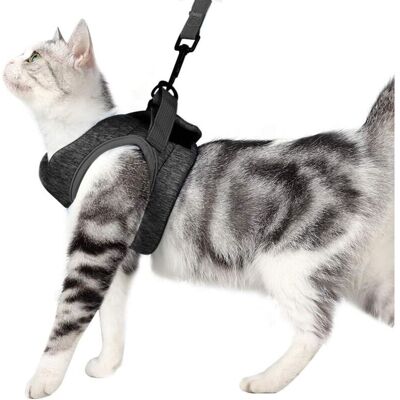 OEM Pettorina E Guinzaglio Ultraleggeri Per Gatti, Collare Morbido E Confortevole Per Gattini, Giacca Per Passeggiate E Corsa, Impermeabile, Adatta A Cuccioli E Conigli (grigio, S) OEM Pettorina E Guinzaglio Ultraleggeri Per Gatti, Collare Morbido E Confortevole Per Gattini, Giacca Per Passeggiate E Corsa, Impermeabile, Adatta A Cuccioli E Conigli (grigio, S)