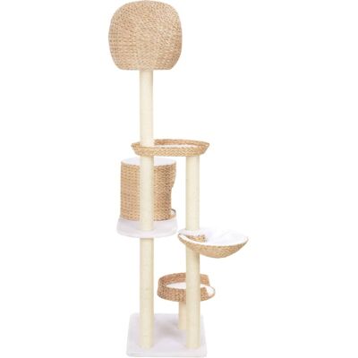 Maisonchic Tiragraffi per gatti in erba marina con palo sisal - Albero per gatti Maisonchic Tiragraffi per gatti in erba marina con palo sisal - Albero per gatti