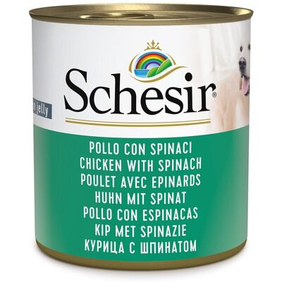 Schesir Pollo con Spinaci in Gelatina - Cibo per cani Schesir Pollo con Spinaci in Gelatina - Cibo per cani