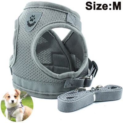 FORTUNEVILLE Set Di Imbracatura E Guinzaglio Per Cane, Imbracatura In Rete Morbida E Traspirante, Per Cuccioli E Gatti, Riflettente, Regolabile, Per Passeggiate, Corsa, Allenamento (taglia M, Grigio) FORTUNEVILLE Set Di Imbracatura E Guinzaglio Per Cane, Imbracatura In Rete Morbida E Traspirante, Per Cuccioli E Gatti, Riflettente, Regolabile, Per Passeggiate, Corsa, Allenamento (taglia M, Grigio)