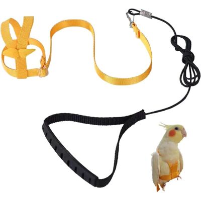 OEM Imbracatura Regolabile Per Pappagalli, Guinzaglio Anti-morso, Corda Elastica Per Piccione, Psittacus Erithacus, Eclectus Roratus, Cacatua Galerita, Scarlet Macaw, Big Cacatua Galerita( OEM Imbracatura Regolabile Per Pappagalli, Guinzaglio Anti-morso, Corda Elastica Per Piccione, Psittacus Erithacus, Eclectus Roratus, Cacatua Galerita, Scarlet Macaw, Big Cacatua Galerita(