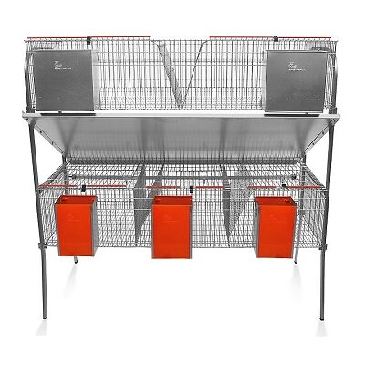 GOMEZ Y CRESPO Cage Per Modello Economico Rabbit-10 Con Caset. 3 Dipartimenti Di Maternitмк E 2 Ingrasso. GOMEZ Y CRESPO Cage Per Modello Economico Rabbit-10 Con Caset. 3 Dipartimenti Di Maternitмк E 2 Ingrasso.