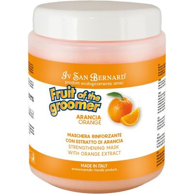 IV SAN BERNARD Balsamo Allarancia Fruit Of The Groomer 1 Litro Offerta Esclusiva IV SAN BERNARD Balsamo Allarancia Fruit Of The Groomer 1 Litro Offerta Esclusiva