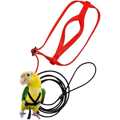 OEM Pettorina Regolabile Per Uccelli - Anti-morso, Adatta A Pappagalli, Cacatua, Parrocchetti (collare Giallo) - Crezuo OEM Pettorina Regolabile Per Uccelli - Anti-morso, Adatta A Pappagalli, Cacatua, Parrocchetti (collare Giallo) - Crezuo