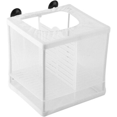 SIOKS Incubatrice Per Pesci Con Rete, Scatola Di Rete Per Acquario, Allevamento, Incubatrice, Vasca Di Isolamento, Incubatrice Per Pesci Giovani Con Pannello Di Isolamento - Fei Yu SIOKS Incubatrice Per Pesci Con Rete, Scatola Di Rete Per Acquario, Allevamento, Incubatrice, Vasca Di Isolamento, Incubatrice Per Pesci Giovani Con Pannello Di Isolamento - Fei Yu