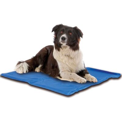 R&G - 50x40 - Raffreddamento - Cane-Gatto - Materassino Refrigerante R&G - 50x40 - Raffreddamento - Cane-Gatto - Materassino Refrigerante