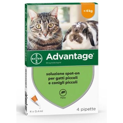 ALTRO Advantage Soluzione Spot-on Per Gatti E Conigli Piccoli ALTRO Advantage Soluzione Spot-on Per Gatti E Conigli Piccoli
